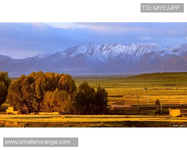 木浦市与大邱的魅力对决探索两座城市的独特风情与文化差异